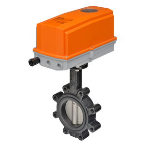 Belimo F6125HD+DKRX24-MFT-T N4 Butterfly Valve (BFV) 5