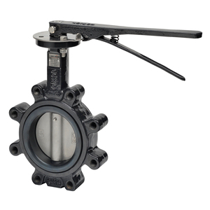 Belimo F6100HD+HND02 Butterfly Valve (BFV) 4