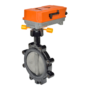 Belimo F6100HDU+GRCX120-3 Butterfly Valve (BFV) 4