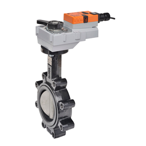 Belimo F6100HDU+GRX24-3 Butterfly Valve (BFV) 4